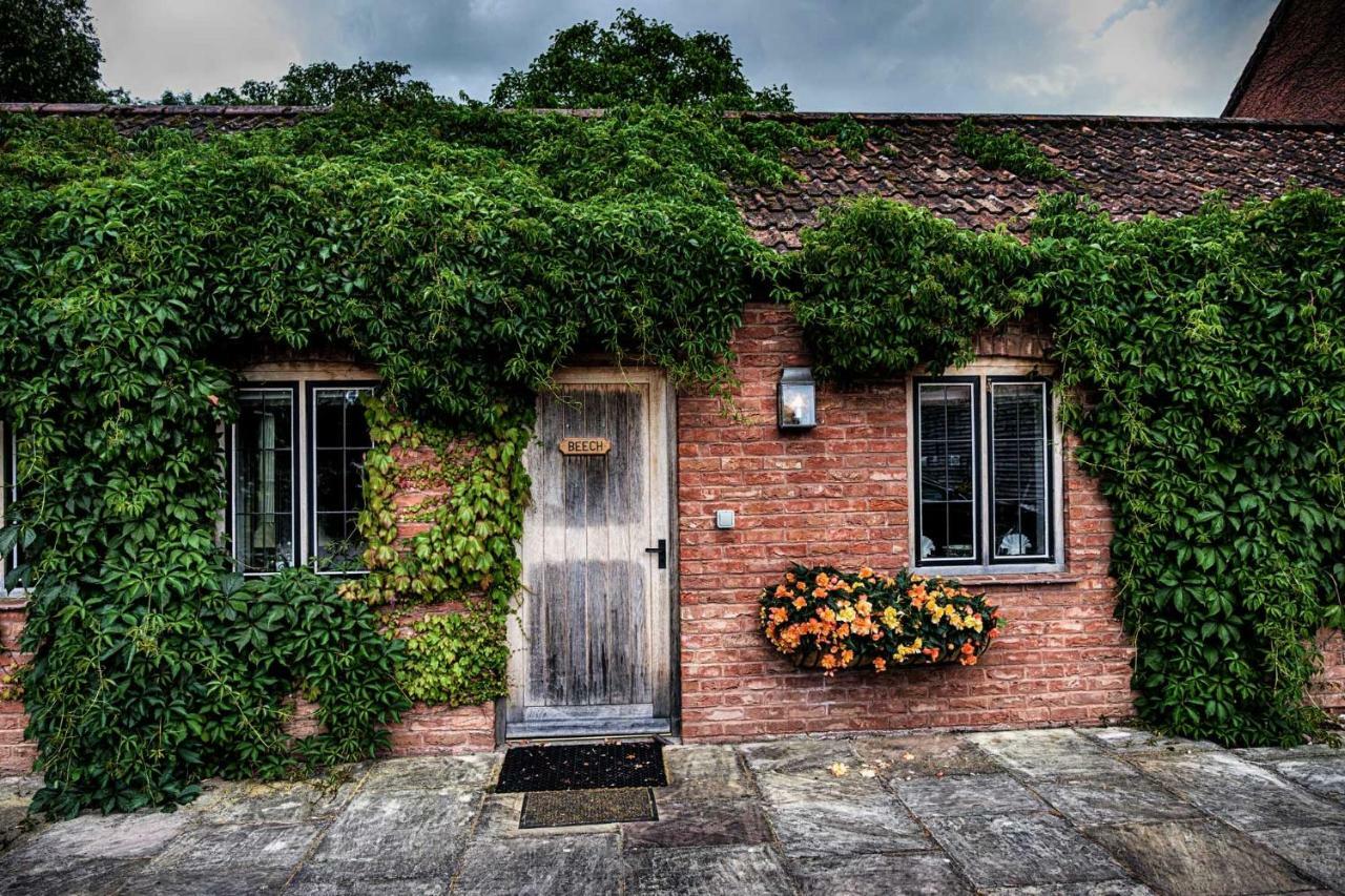 فيلا North Newtonفي Maunsel House المظهر الخارجي الصورة